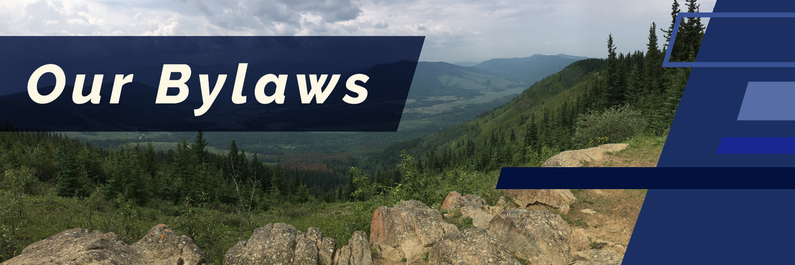 Bylaws Yellowhead County